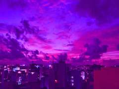 [현성] 네가 없을 땐 내 주위 꽃 한 송이 없더라.