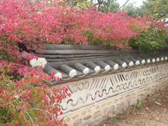 The end of autumn 1.