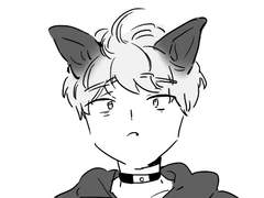 남주인과 규냥이 8