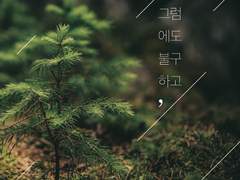 [그럼에도 불구하고,]