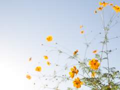 [토니피터] 말버릇