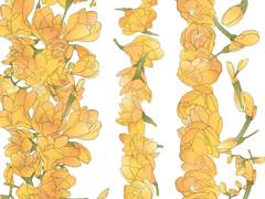 프리지아 브러시&소스- 유료소스