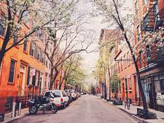 [메일러] 나의 봄에게