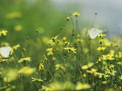 하루는 빠르고 일주일은 짧다