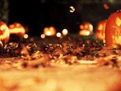 [현성] 구미호 현 X 도깨비 규