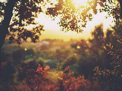 [성규] 가을편지