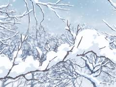 [키세쥬달/키쥬]冬蝶