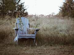 오니자목] 나무