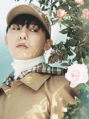 소년의 청춘이란