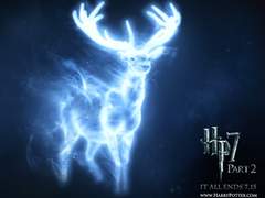 위자드 위스키_04(개정)