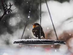 20181214 멤버십 승인관련