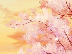 [슈짐] CHERRY BLOSSOM