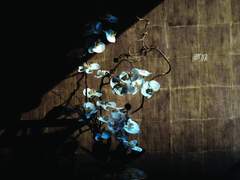 유현유진 소장본