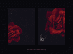 제피아이ts The Salome's Mask 02