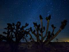 데스티니 트위터 짧썰 백업 3