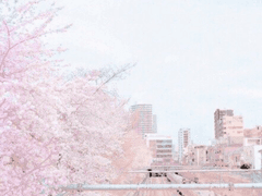 추억을 더듬어봐도*