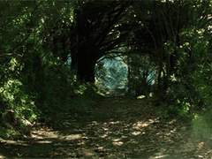 [All] 환상 정원 prolog