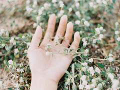 [앙빅] butterfly kiss