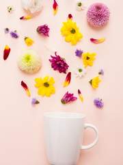 모솔이 연애를 시작하는 법