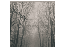 [잣몬] 소설지 '너의 신을 죽이다' 선입금 및 통판 샘플