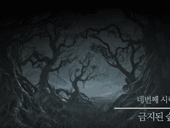 트리위저드 네번째 시련 : 금지된 숲