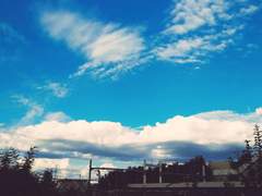 [헤이하쿠] 생일