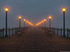 [토니피터] Into the Fog 1.