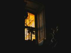 드러낼 수 없는 내 존재를