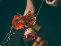 당신을 사랑한 3가지 이유