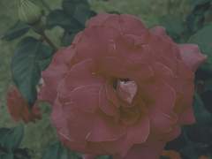 트위터 릴레이 연성