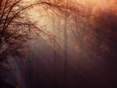 그날 이후의 이야기 - 검성