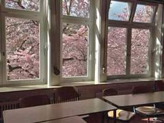 天光之貴(천광지귀) - 第二