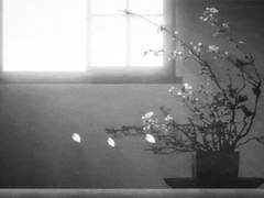 B와 B [카와텐도] 上