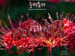 중혁독자 [꽃무릇]