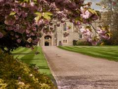 [메일러] 환상 C