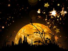 도시, 달, 들판. 그리고 별