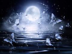 사랑하는 나의 별,