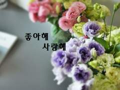 [토도바쿠] 나와 결혼해줘서 고마워