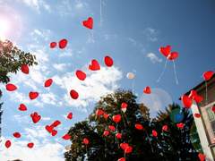 [녤윙] 결혼의 정석 #12