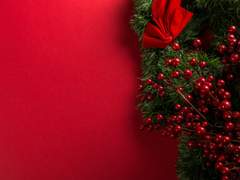 [시라히나] The tiny nutcracker