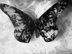 수취인이 없는 메세지.