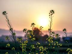 [나엠에세] 별이 아닌 너의 곁에 上