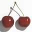 for my cherry