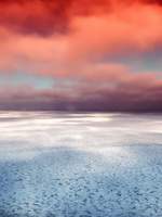 별이 떨어지는 시나리오