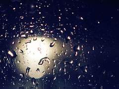 행크코너 트라우마