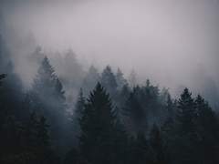 月下影歌(월하영가) 下