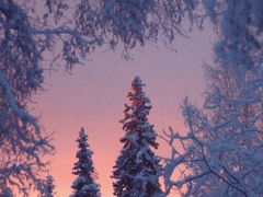 [HANNIBAL] 이른 첫눈