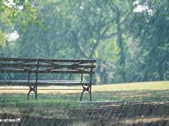 격주 웨이란 5th. 비