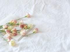 [엘아샤] 좋아해? 좋아해! ♥