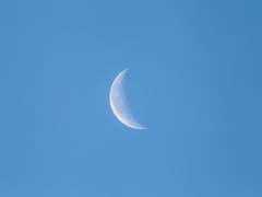 [유현유진][여체화주의] mew mew